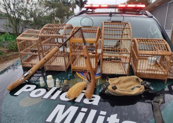 BPMA apreende armas e pássaros durante patrulhamento preventivo em Ecoporanga