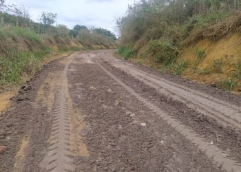 Prefeito Jailson Quiuqui celebra licitação concluída para estudo de rodovia em Águia Branca