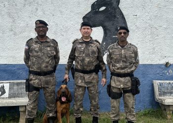 Batalhão de Ações com Cães (BAC) recebe cão especializado em rastreamento de pessoas