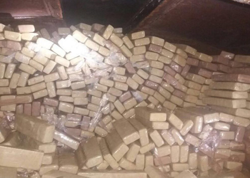 Guerra às drogas custa R$ 15 bilhões por ano em recursos públicos