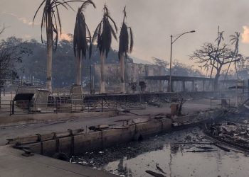 Idosos são principais vítimas em lista de mortos por incêndio no Havaí