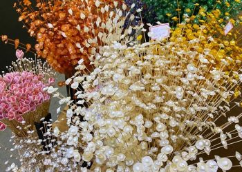 Governo ES - Maior Feira de Artesanato do Estado começa nesta sexta-feira (22)