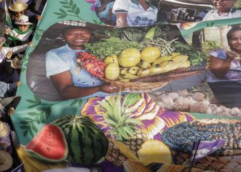 semana tem luta das mulheres rurais e combate à transfobia