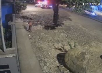 Idoso é atropelado por moto ao atravessar rodovia em Nova Venécia; veja vídeo