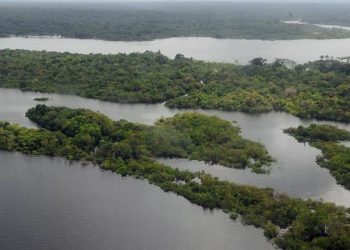 Projeto de lei vai facilitar regularização de terras na Amazônia