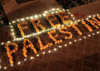 Protestos pró-palestinos continuam agitando universidades dos EUA