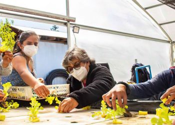 Chileno cria projeto para facilitar acessibilidade no campo