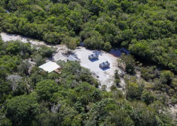 Falta de base de dados é desafio para automatizar pesquisas ambientais