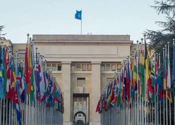 Na ONU, Brasil apresenta ODS para combater desigualdade étnico-racial