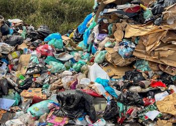 Nova plataforma brasileira permite rastrear a reutilização de plástico