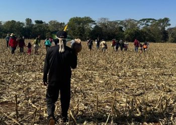 Cimi registra ataques a povos indígenas em três estados