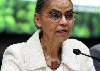 Alertas de desmatamento na Amazônia caem 46% em um ano