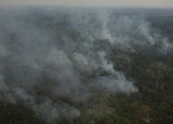 Risco de incêndio fecha 80 Unidades de Conservação em São Paulo